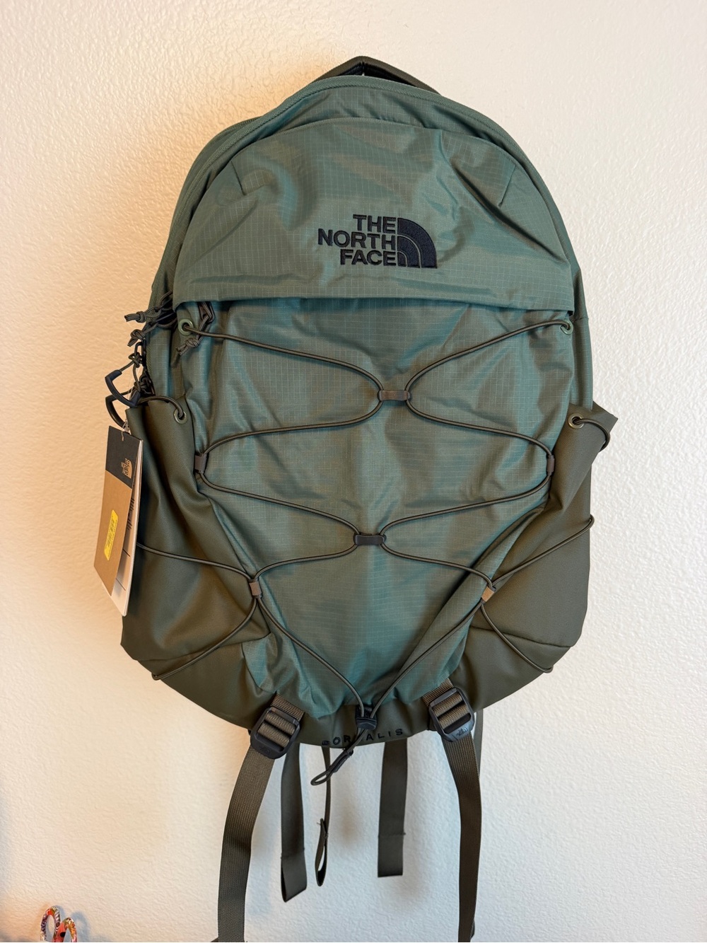 The North Face Duck Green Backpack with External Bungee
